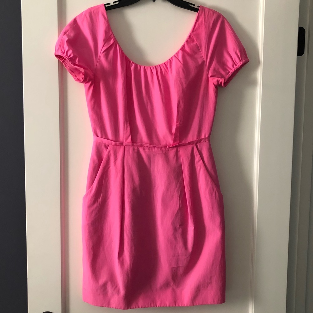 J. Crew Pink Dress